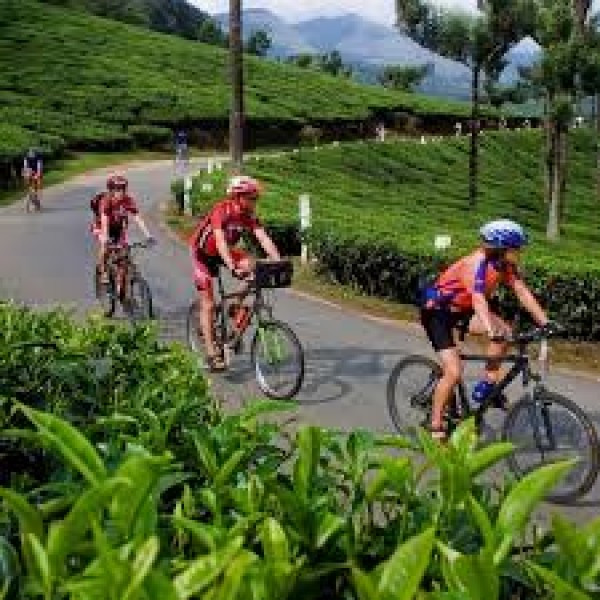 Camping And Cycling Tour In Wayanad 1N/2D ( 1N Wayanand )